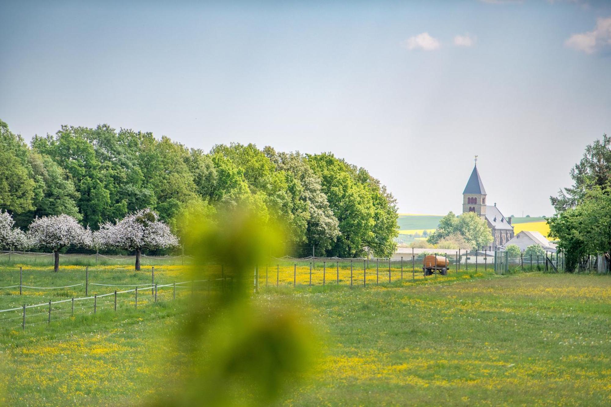 Waldesblick, Hotel-Restaurant Lahr  Bagian luar foto